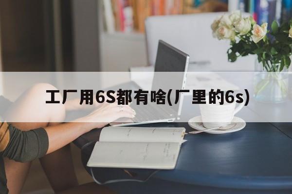 工厂用6S都有啥(厂里的6s)